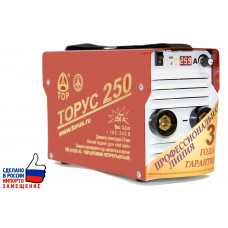Сварочный инвертор ТОРУС 250 + НАКС